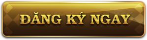 đăng ký 999